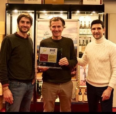 The Best Wines of Umbria 2025