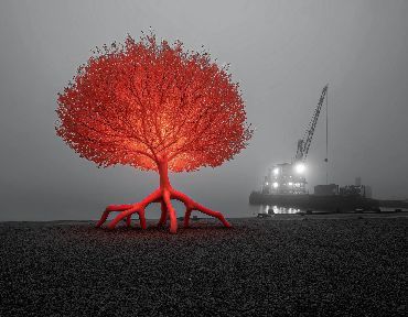 JUNK Il futuro in discarica - A cura di Velia Littera