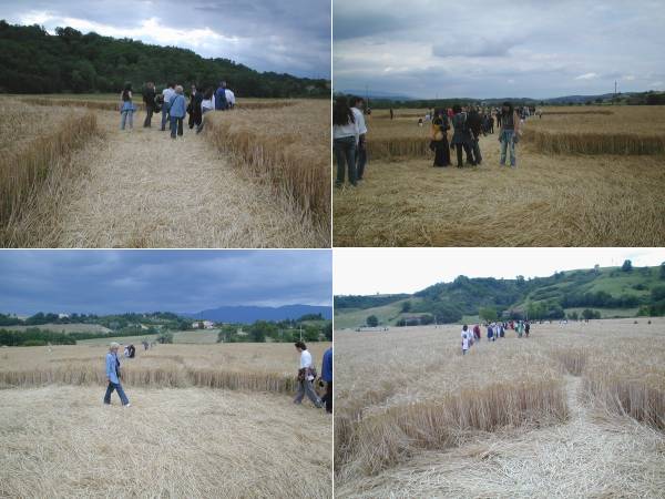 Cerchi nel grano in Toscana