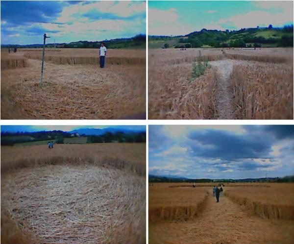 Cerchi nel grano in Toscana